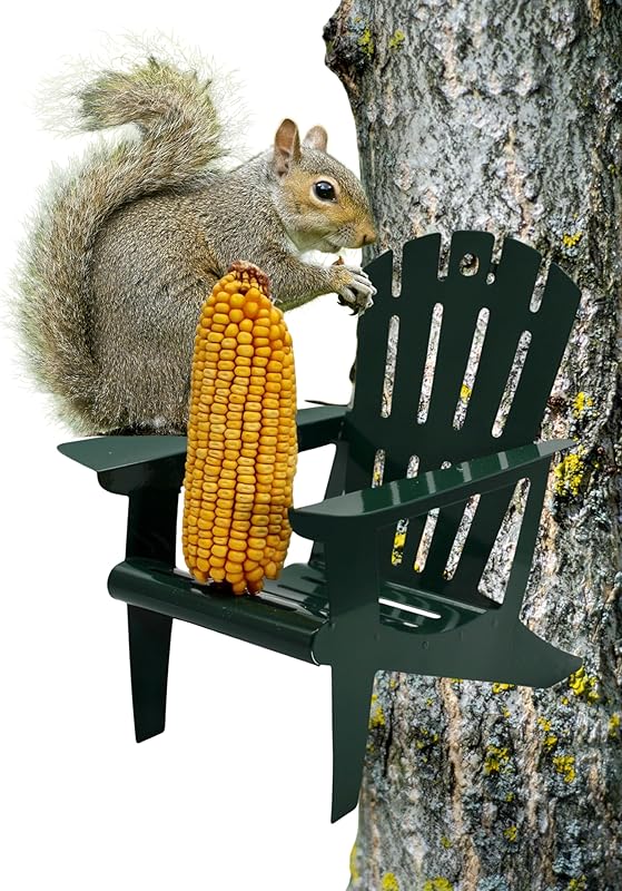 Backyard Essentials Adirondack Squirrels Bluebirds