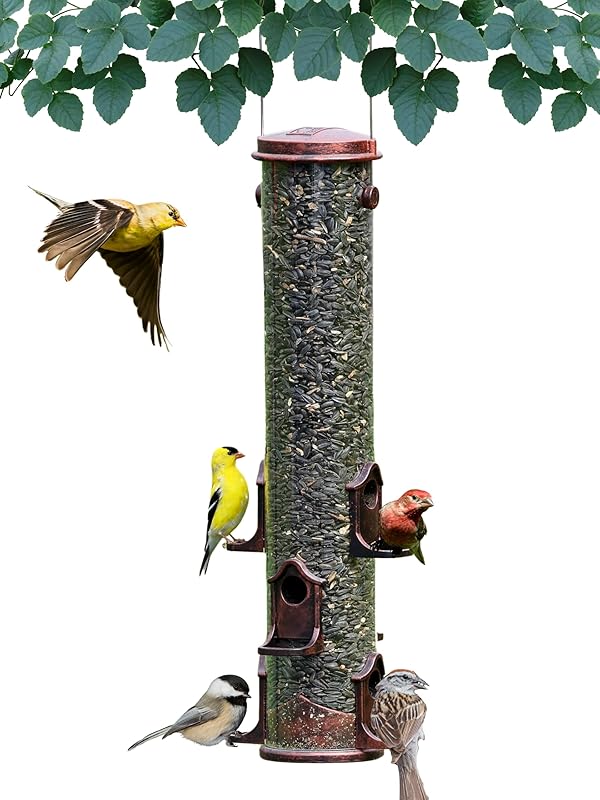 Backyard Essentials Mammoth Perches Feeding