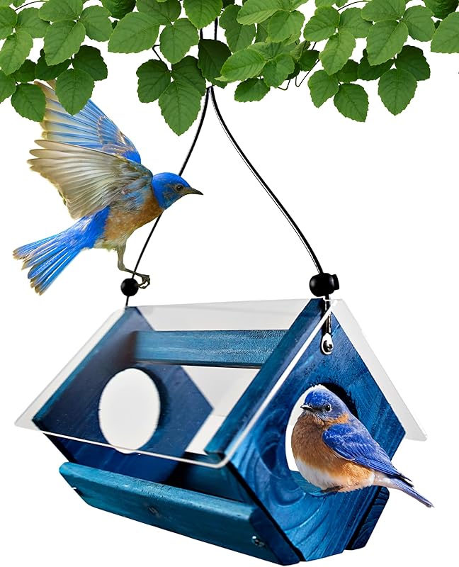 Backyard Essentials Petite Bluebird Plexiglass