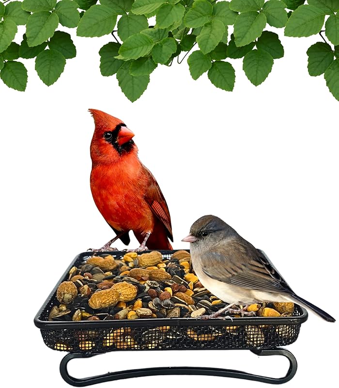 Backyard Essentials Wildlife Squirrels Chipmunks