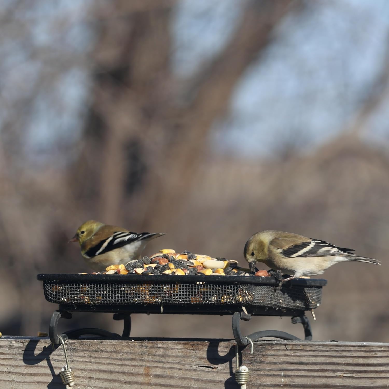 Backyard Essentials Company Values